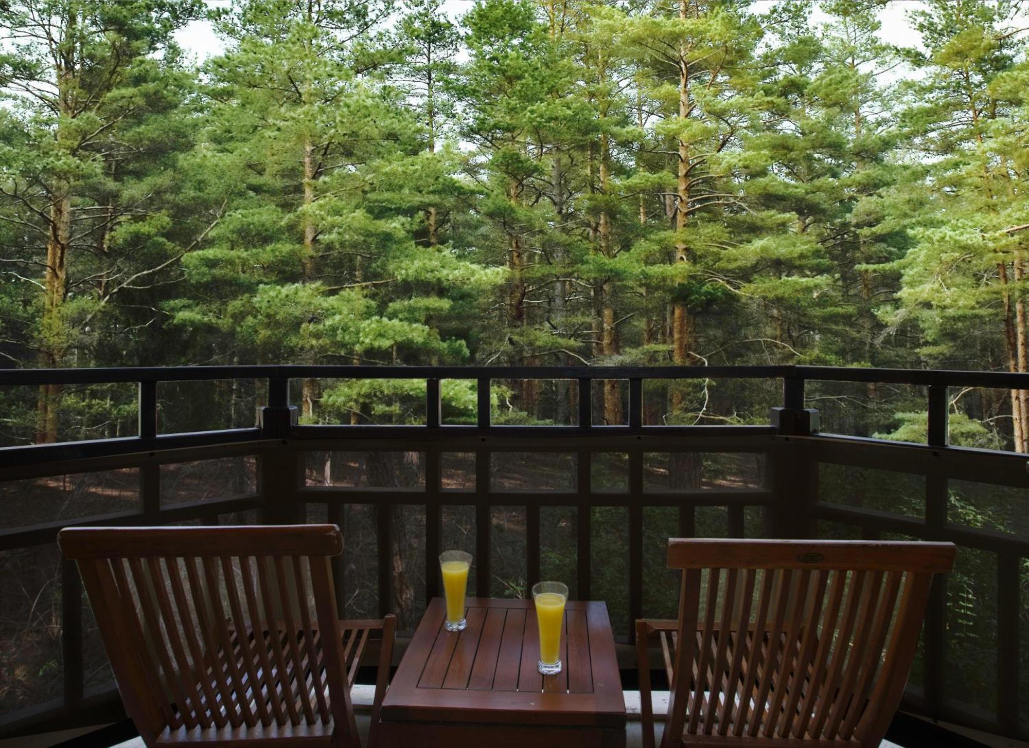 Asteria Family Resort Belek Antalya Exteriör bild A view of the forest from the balcony of a guest room